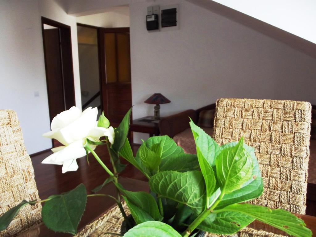 Apartments Budva Center Стая снимка